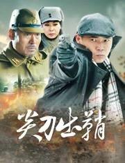 电视剧尖刀出鞘在线观看,揭秘抗战英雄的传奇征程  第3张