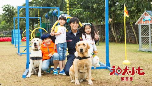 神犬小七第三季在线免费观看 第1张 神犬小七第三季在线免费观看 第1张